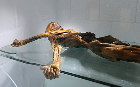 Ötzi - Mumie im Museum