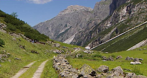 Almlandschaft in Bergtal