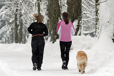 Joggen mit dem Hund, bei Schnee
