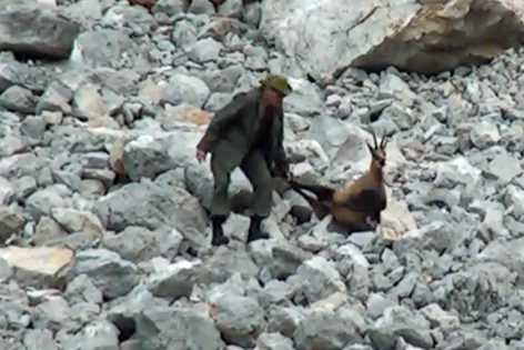 Jäger zieht blutende Gämse über Felsgestein