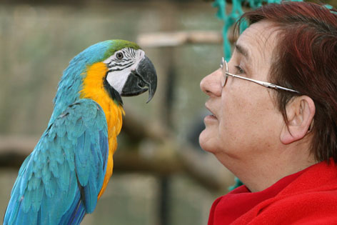 Papagei mit Frau