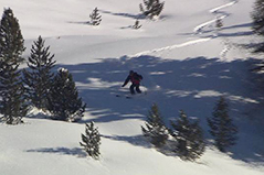 Skifahrer im freien Gelände