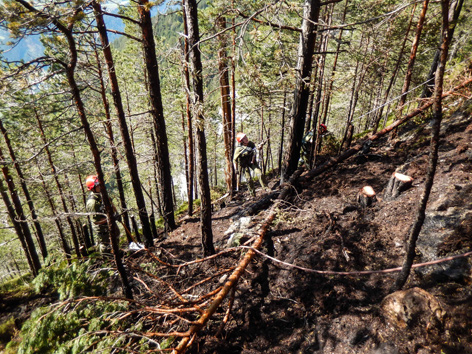 Angeseilte Feuerwehrmänner bei Waldbrand in steilem Wald