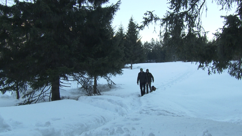 Wanderer mit Hund im Schnee