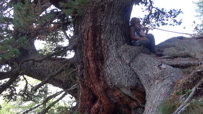 Astrid auf Baum