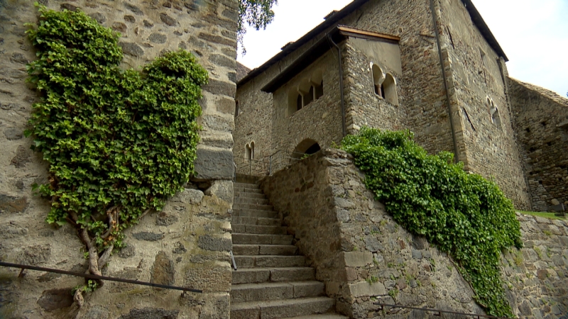 Efeu an den Mauern von Schloss Tirol