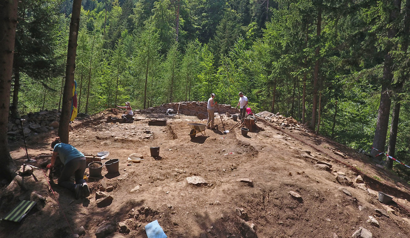 Archäologische Grabung im Wald