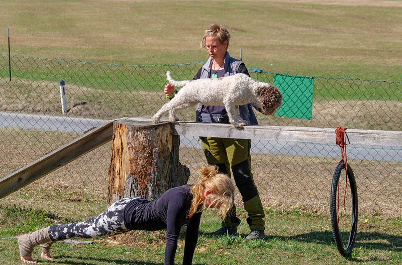 Streckübung auf dem Balken für den Hund, Frau macht es am Boden